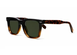 Amiri Polarised Tortoise