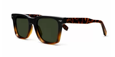 Amiri Polarised Tortoise