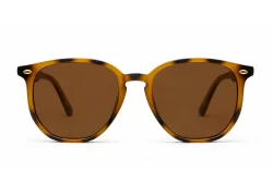 Timoti Polarised Tortoise