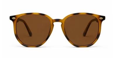Timoti Polarised Tortoise
