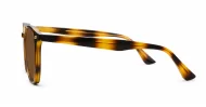 Timoti Tortoise unisex polarised sunglasses classic tortoise frames dark brown lenses