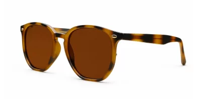 Timoti Polarised Tortoise