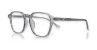 gradient translucent TR90 blue light glasses BL28057 with silver temple accents