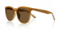 iPOP Kiri large round polarised sunnies in light brown with dark brown lenses and silver pip detail