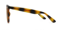 Kiri Tortoise large round polarised sunglasses tortoise frames dark brown lenses