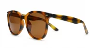 Kiri Tortoise large round polarised sunglasses tortoise frames dark brown lenses
