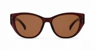 Women's cat-eye polarised sunglasses with gold temple detailing