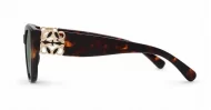 Women's cat-eye polarised sunglasses with gold temple detailing