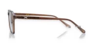 gradient translucent TR90 blue light glasses BL28057 with silver temple accents