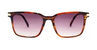 Coast women's squared sunglasses with gold temple detailing