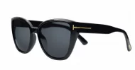iPOP Juno large polarised cat eye sunglasses for women with gold inlay detail