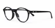 Rex mens sunglasses NZ