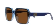 Willow oblong polarised sunglasses NZ in slim frame with temple detailing