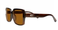 Willow oblong polarised sunglasses NZ in slim frame with temple detailing
