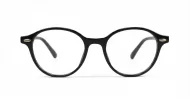 Rex mens sunglasses NZ