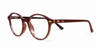 Rex mens sunglasses NZ