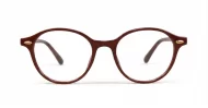 Rex mens sunglasses NZ