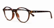 Rex mens sunglasses NZ