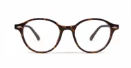 Rex mens sunglasses NZ
