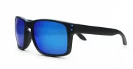 Polarised sunglasses-2973-blue