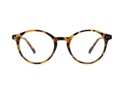  Blue Light Glasses BL8831