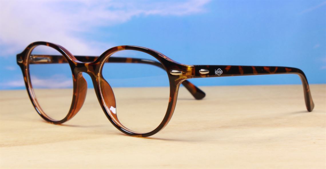 Rex mens sunglasses NZ