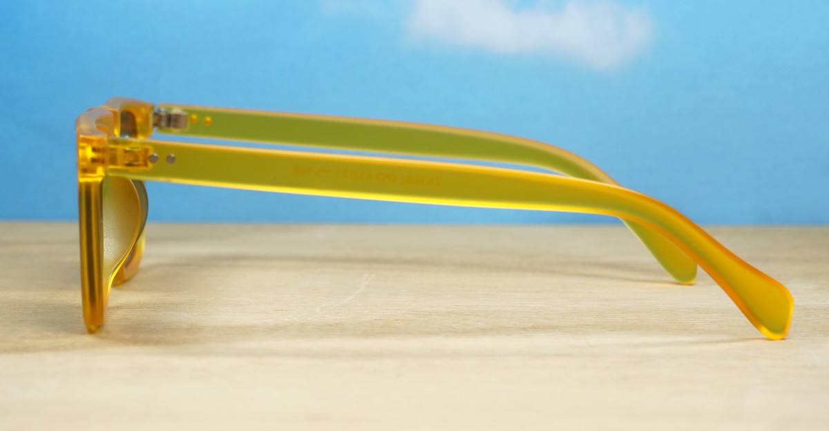 Otis Unisex Sunglasses