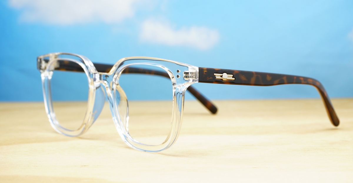 Blue Light Glasses BL8019 Unisex Blue Light digital eyewear