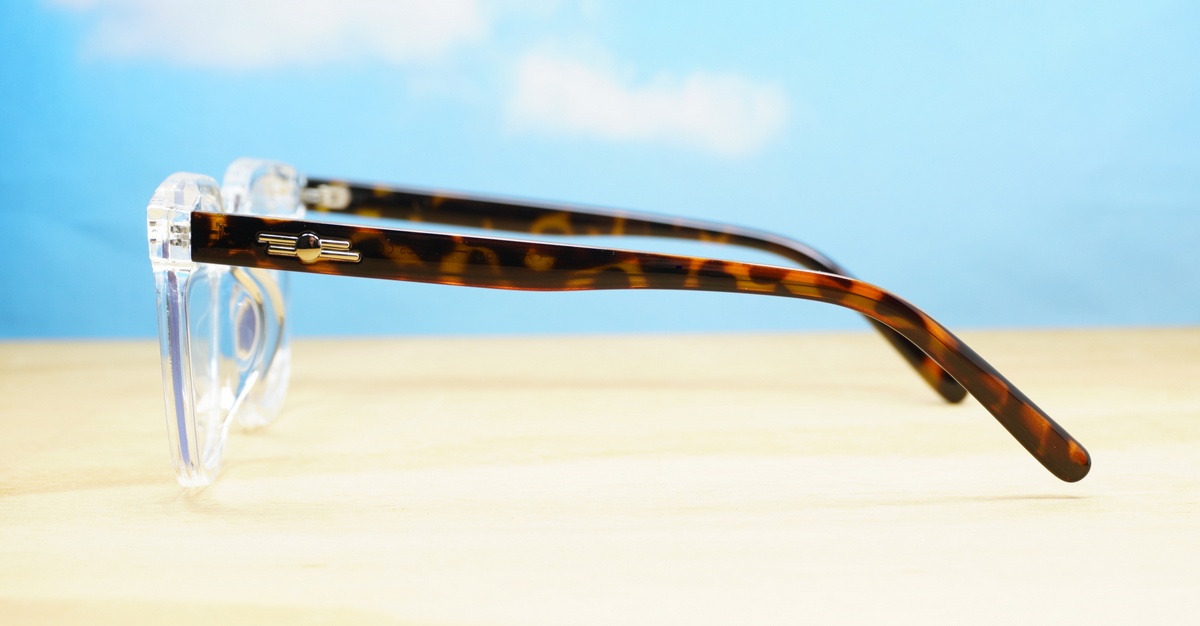 Blue Light Glasses BL8019 Unisex Blue Light digital eyewear