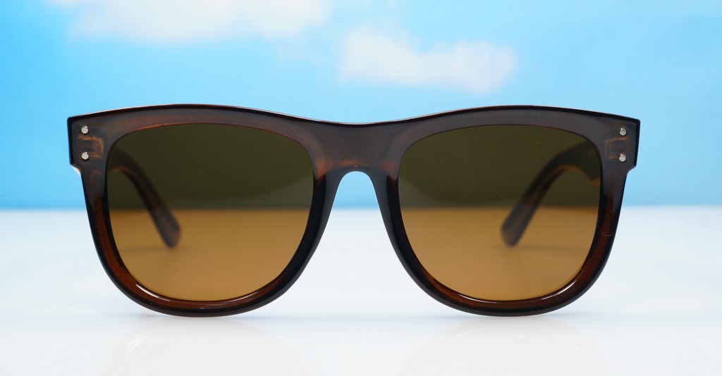 Polarised sunglasses-PR9186