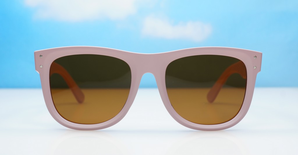 Polarised sunglasses-PR9186