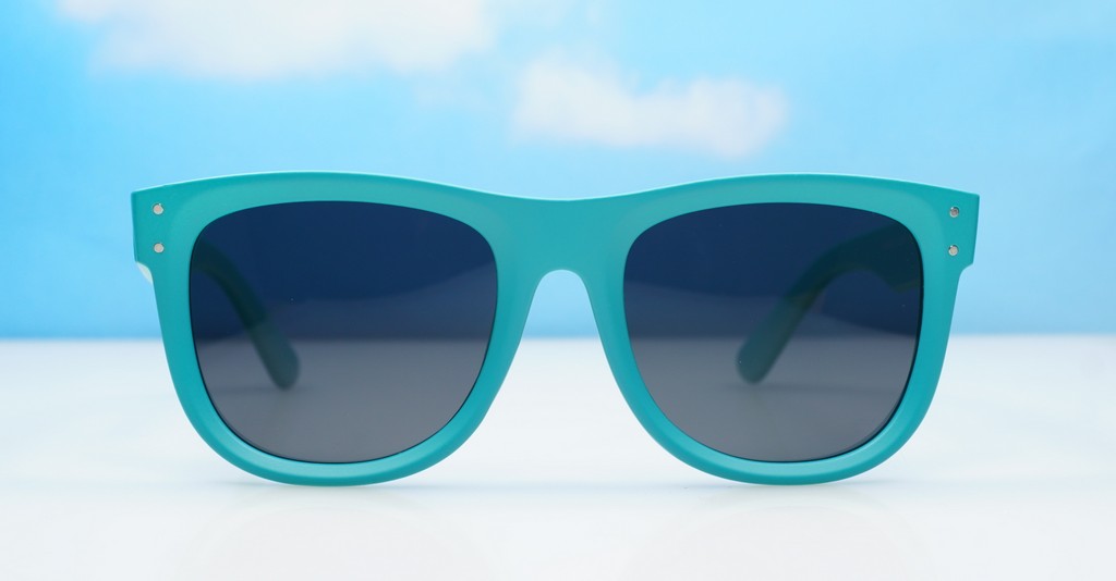 Polarised sunglasses-PR9186