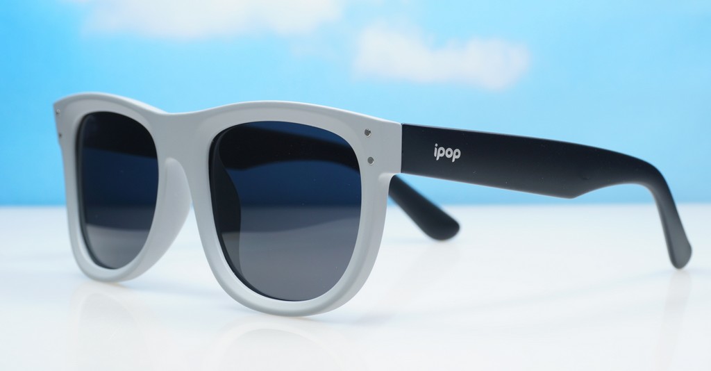 Polarised sunglasses-PR9186