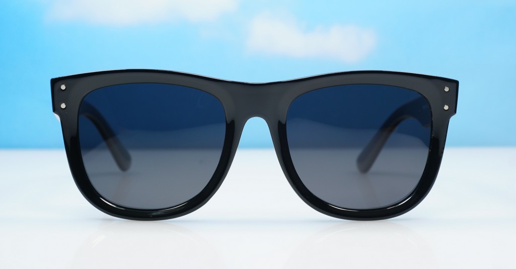 Polarised sunglasses-PR9186