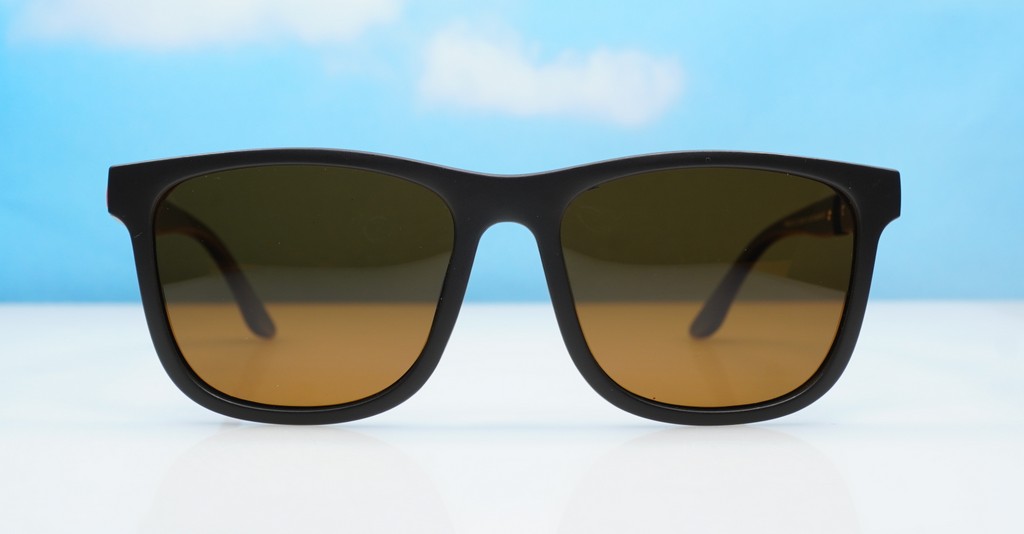 Men-Sunglasses-PS8130-BRW