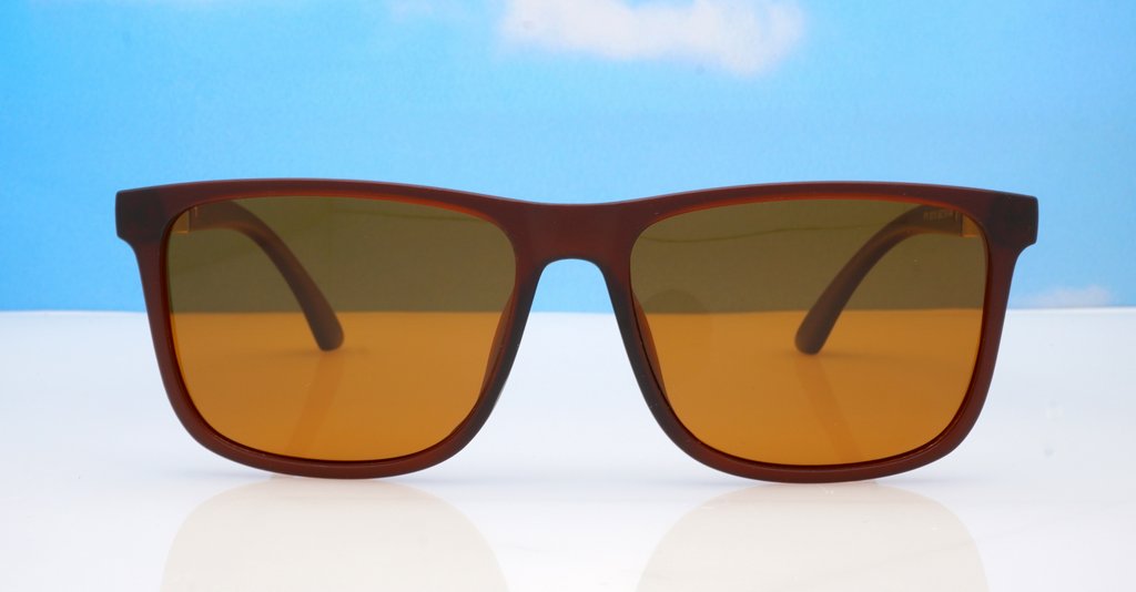 Polarised Sunglasses-Py0016