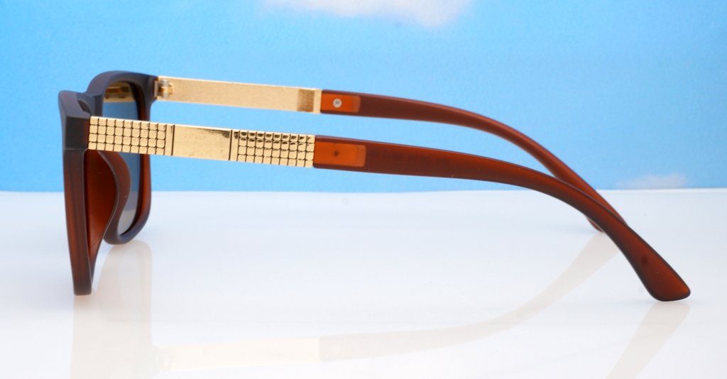 Polarised Sunglasses-Py0016