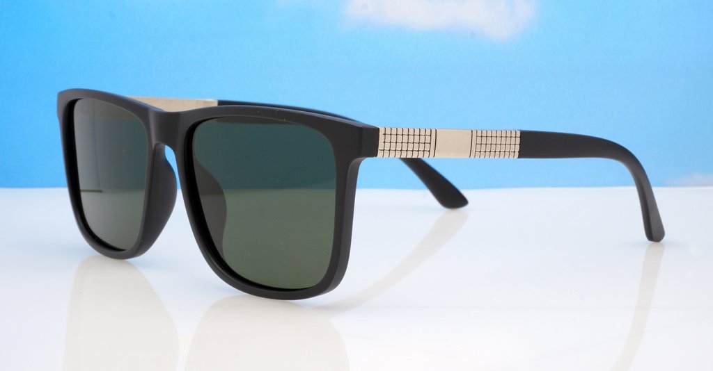 Polarised Sunglasses-Py0016