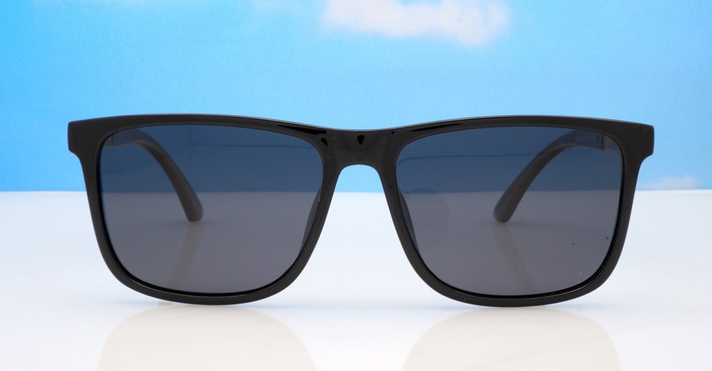 Polarised Sunglasses-Py0016