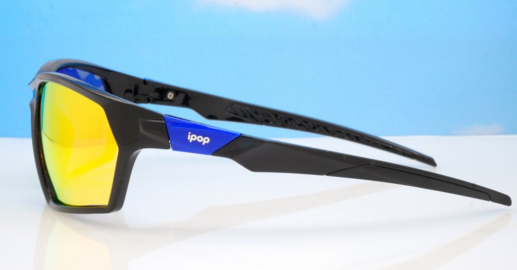Polarised Sunglasses-Ps7012-RV