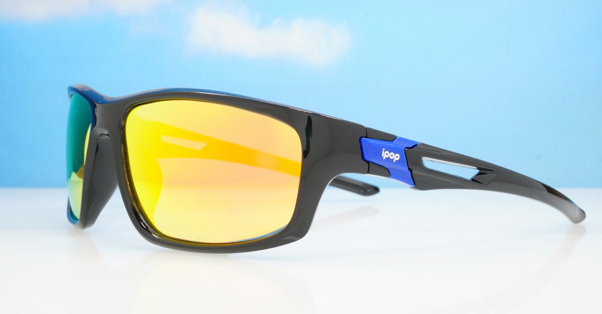 Polarised Sunglasses-02766
