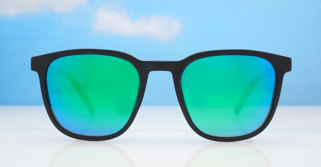 Polarised Sunglasses-02791