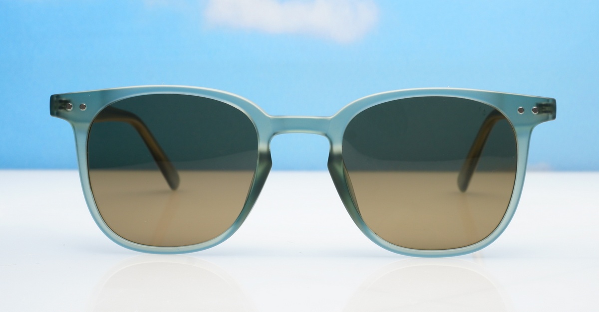 Polarised Sunglasses-PZ10038-ZT