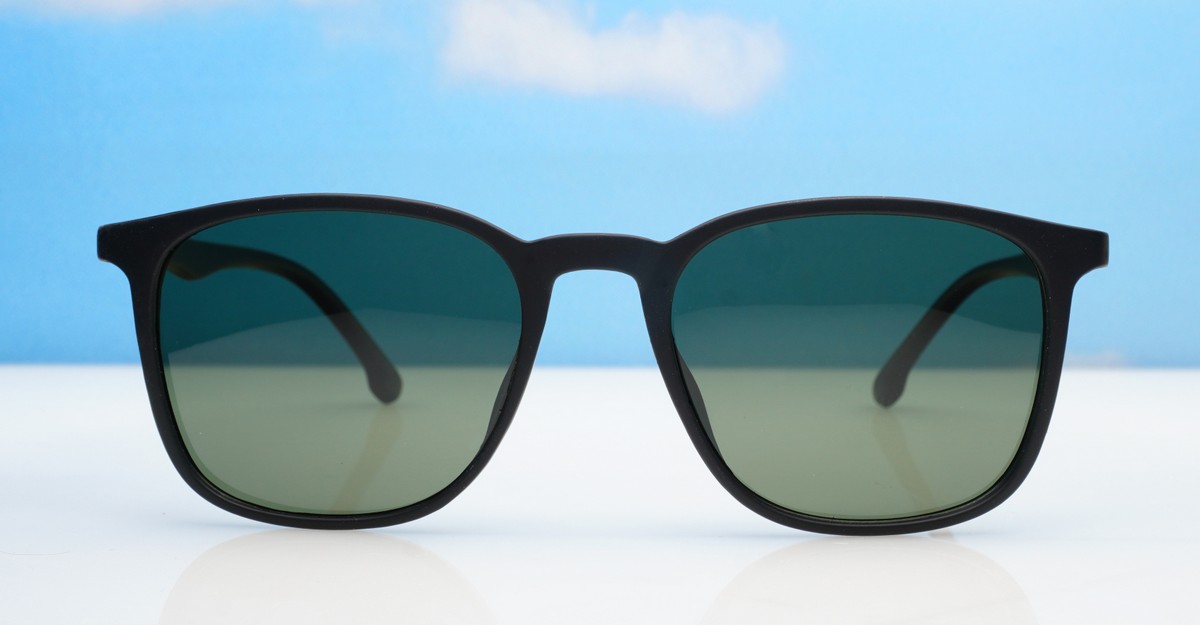 Polarised Sunglasses-02793