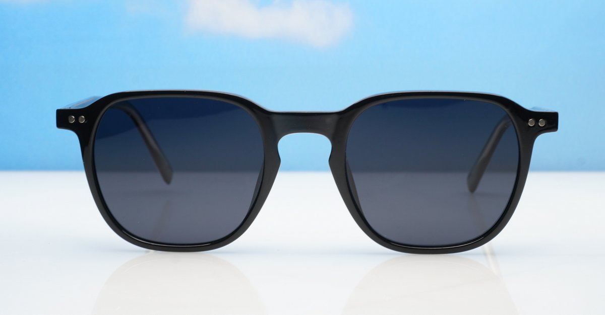 Polarised Sunglasses-PZ10036ZT