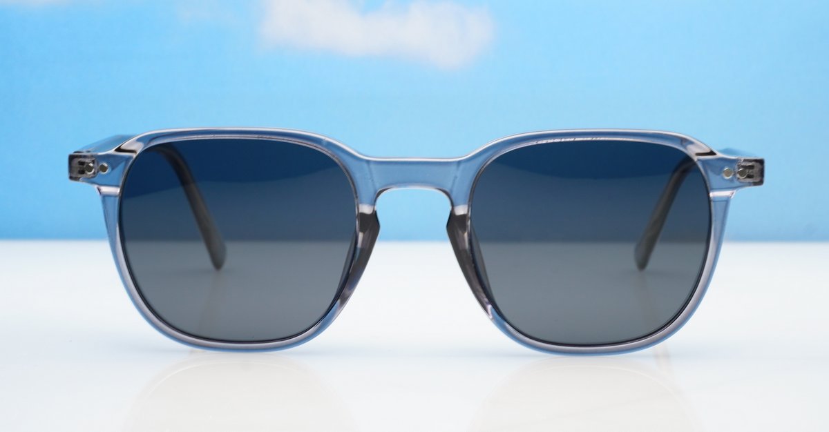 Polarised Sunglasses-PZ10036ZT