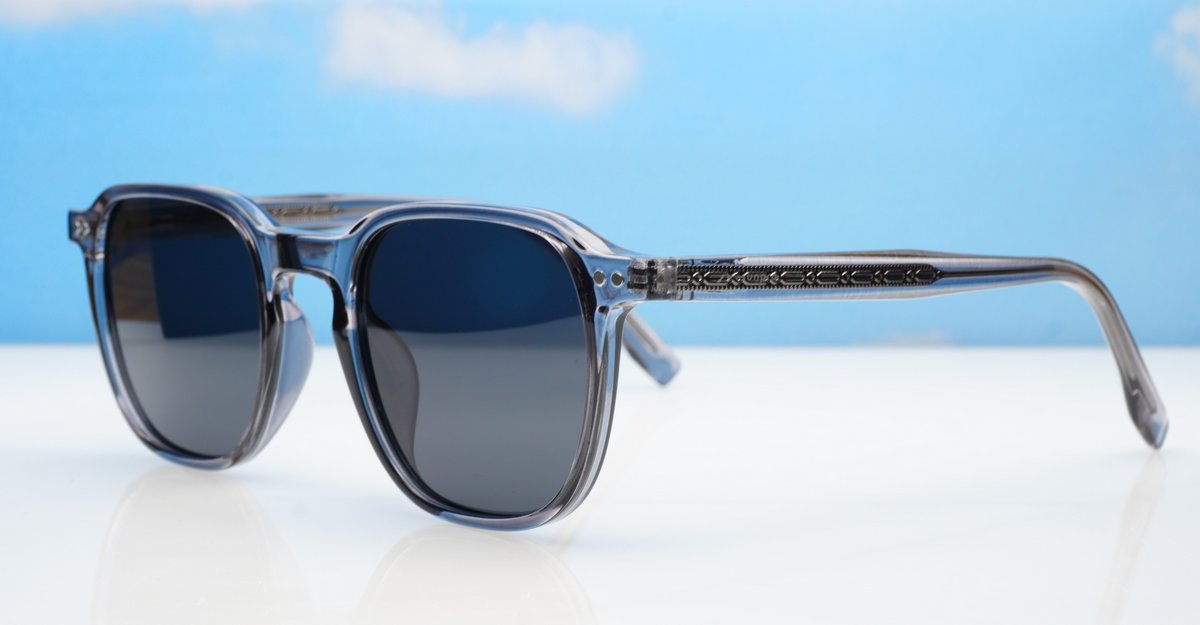 Polarised Sunglasses-PZ10036ZT