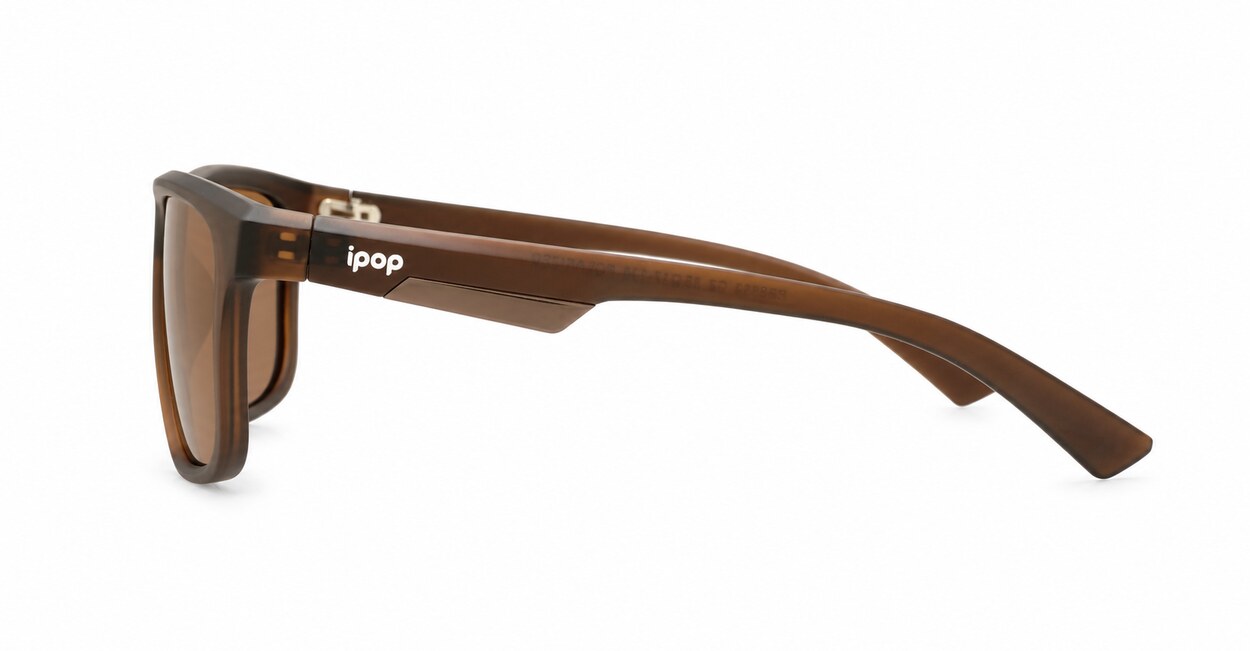 Polarised Sunglasses-pz8535 polarised sunglasses NZ