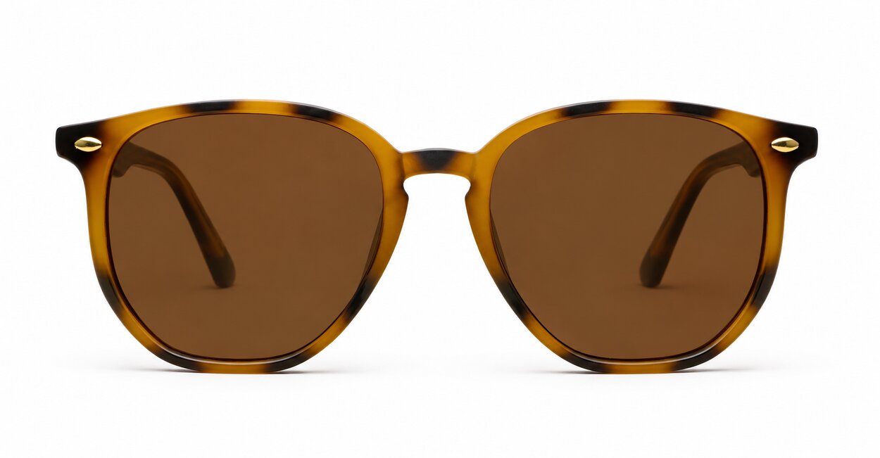 Timoti Tortoise unisex polarised sunglasses classic tortoise frames dark brown lenses