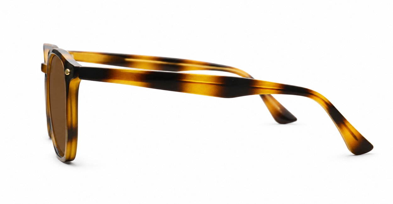 Timoti Tortoise unisex polarised sunglasses classic tortoise frames dark brown lenses